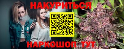 крисы Краснодар