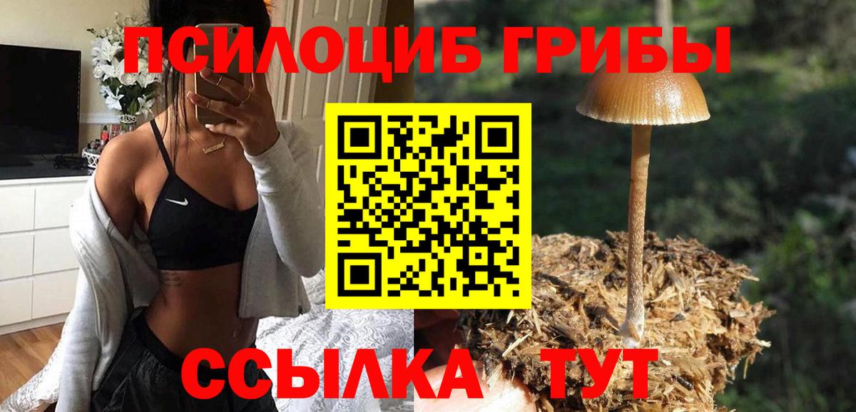 Галлюциногенные грибы мицелий  Вход с VPN  Галлюциногенные грибы ЛСД  Каменск-Уральский 
