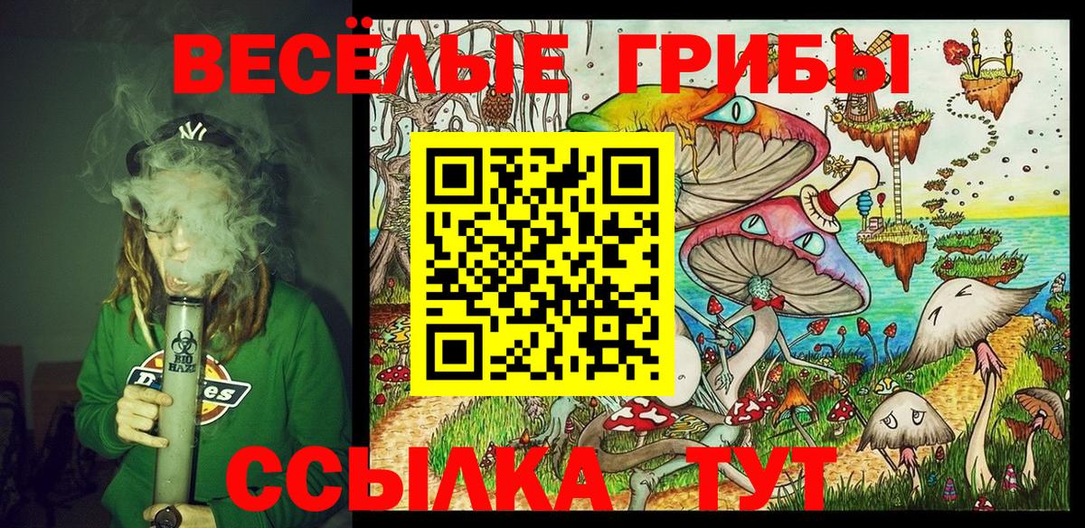 Псилоцибиновые грибы GOLDEN TEACHER Каменск-Уральский